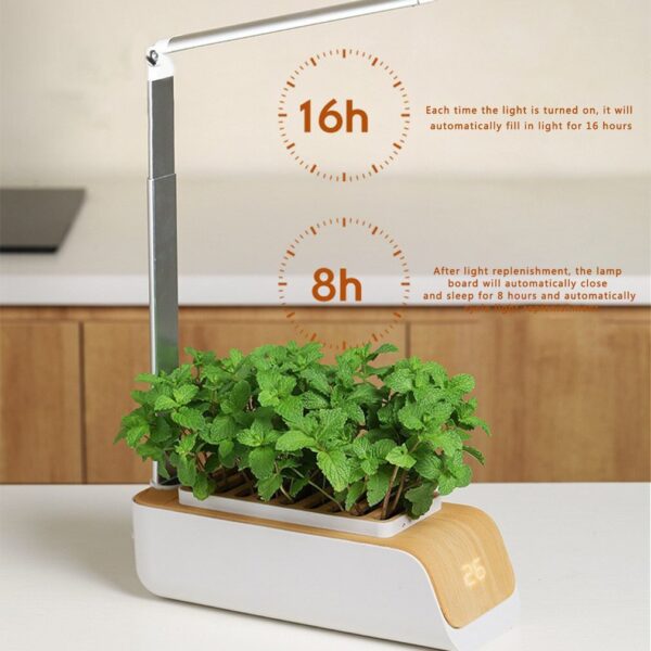 Hydroponics Growing System Indoor Herb Garden Kit Automatic Timing Height Adjustable LED Grow Lights Smart Water Pump for Home - Image 2