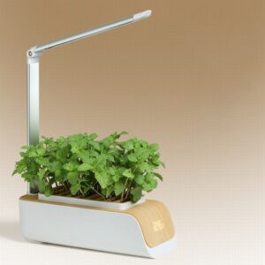 Hydroponics Growing System Indoor Herb Garden Kit Automatic Timing Height Adjustable LED Grow Lights Smart Water Pump for Home