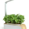 Hydroponics Growing System Indoor Herb Garden Kit Automatic Timing Height Adjustable LED Grow Lights Smart Water Pump for Home - Image 6